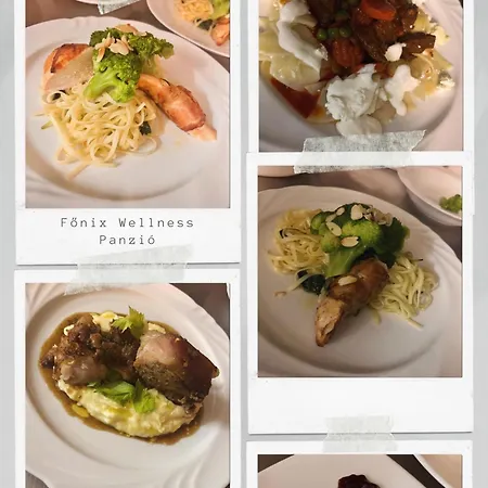 Fonix Wellness ** Apartman Gazde/Camere de închiriat Hévíz
